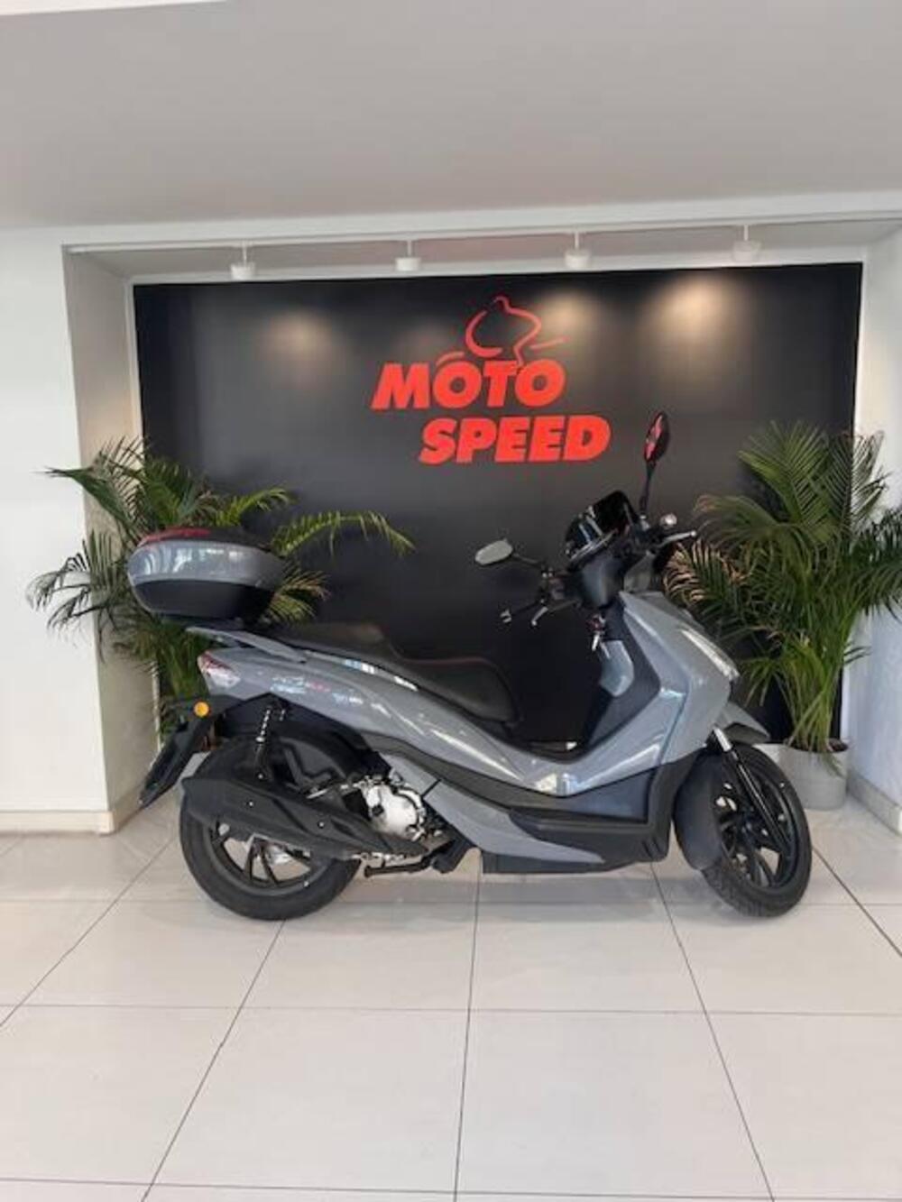 Sym HD 300 (2019 - 20) (2)