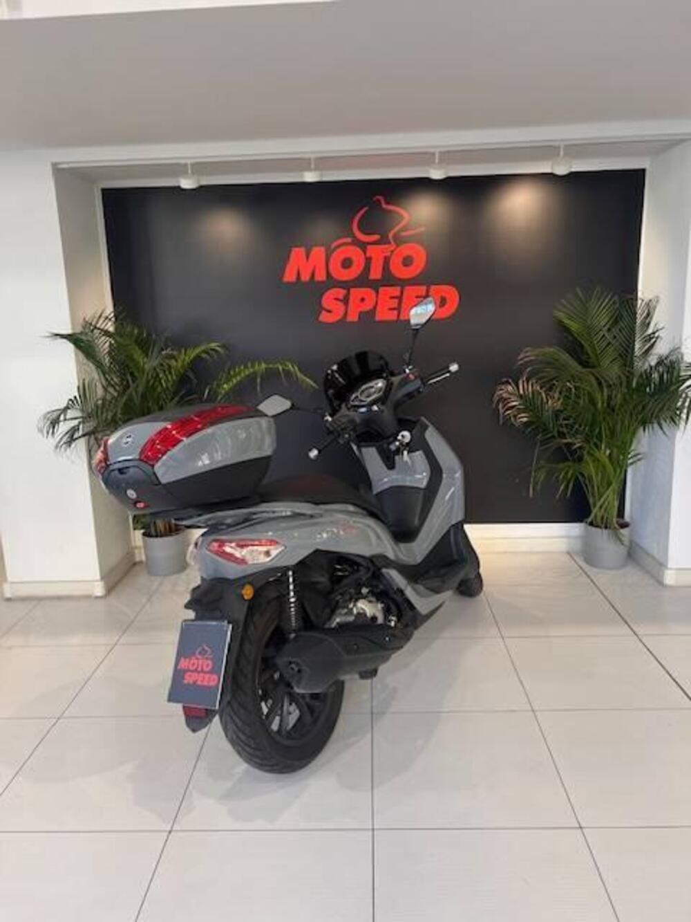 Sym HD 300 (2019 - 20) (4)