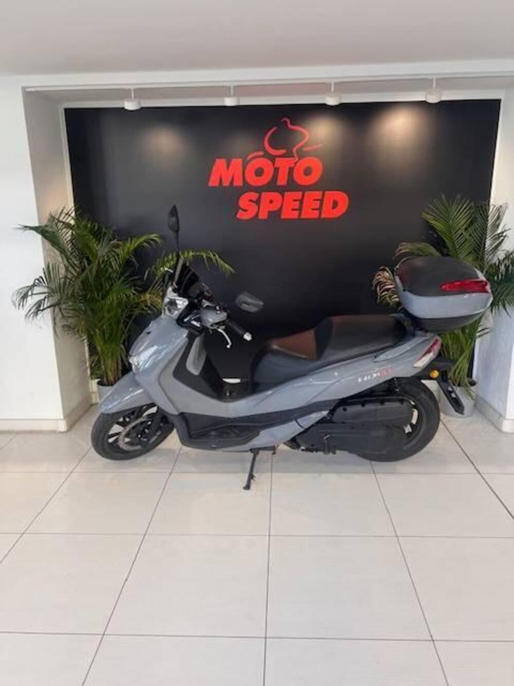 Sym HD 300 (2019 - 20)