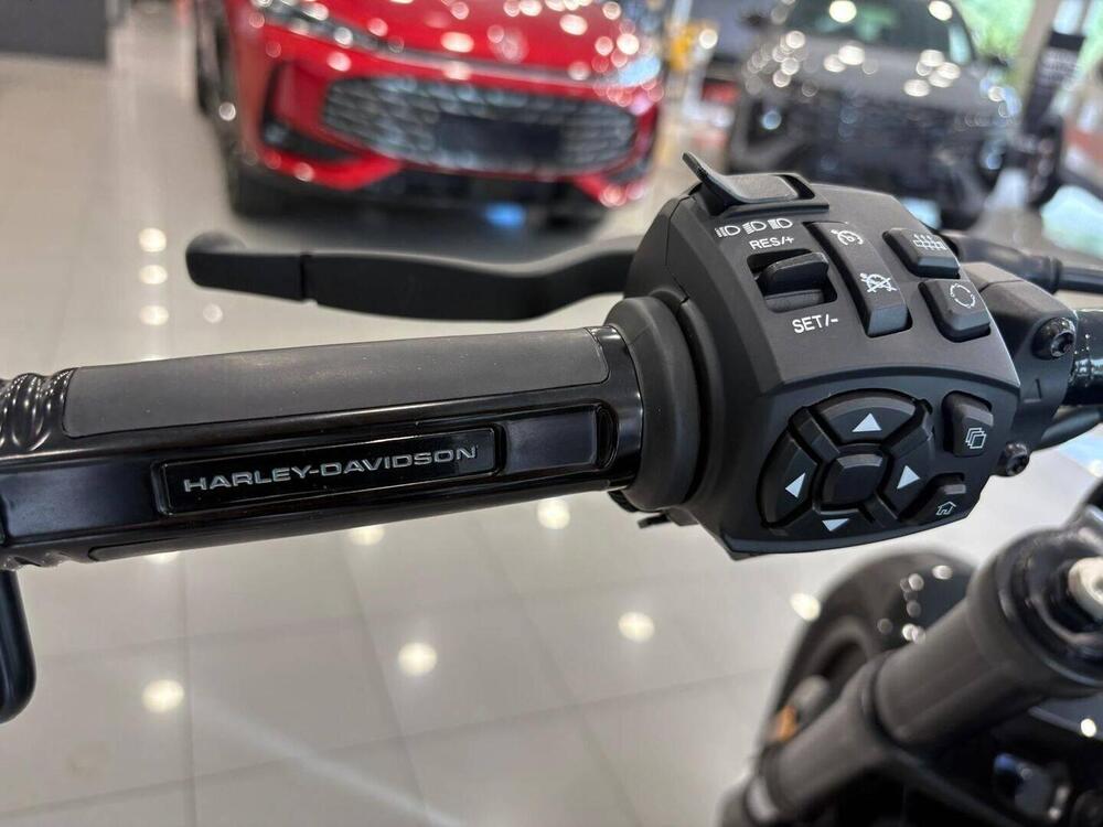 Harley-Davidson Sportster S (2022 - 24) (15)