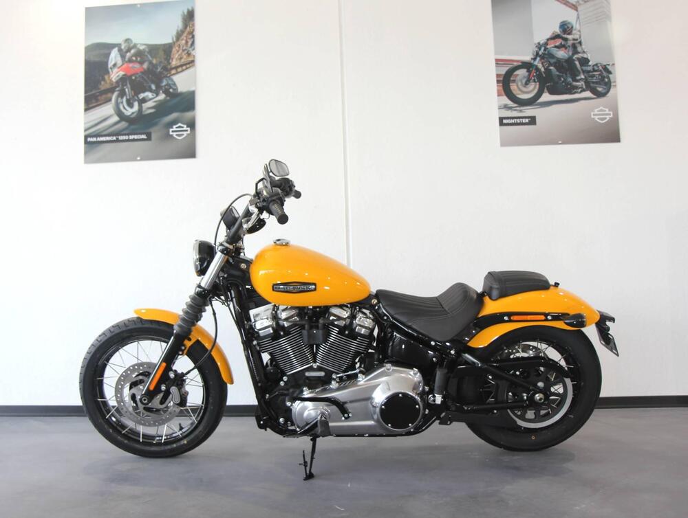 Harley-Davidson Street Bob 117 (2025 - 26) (4)