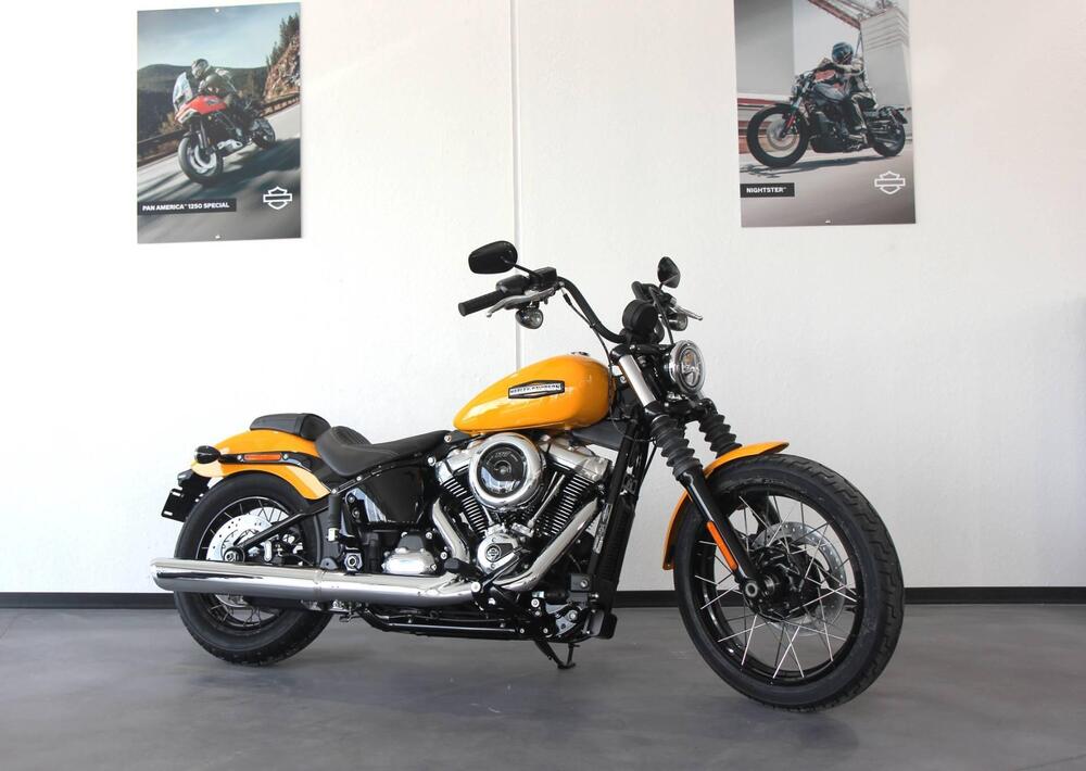 Harley-Davidson Street Bob 117 (2025 - 26)