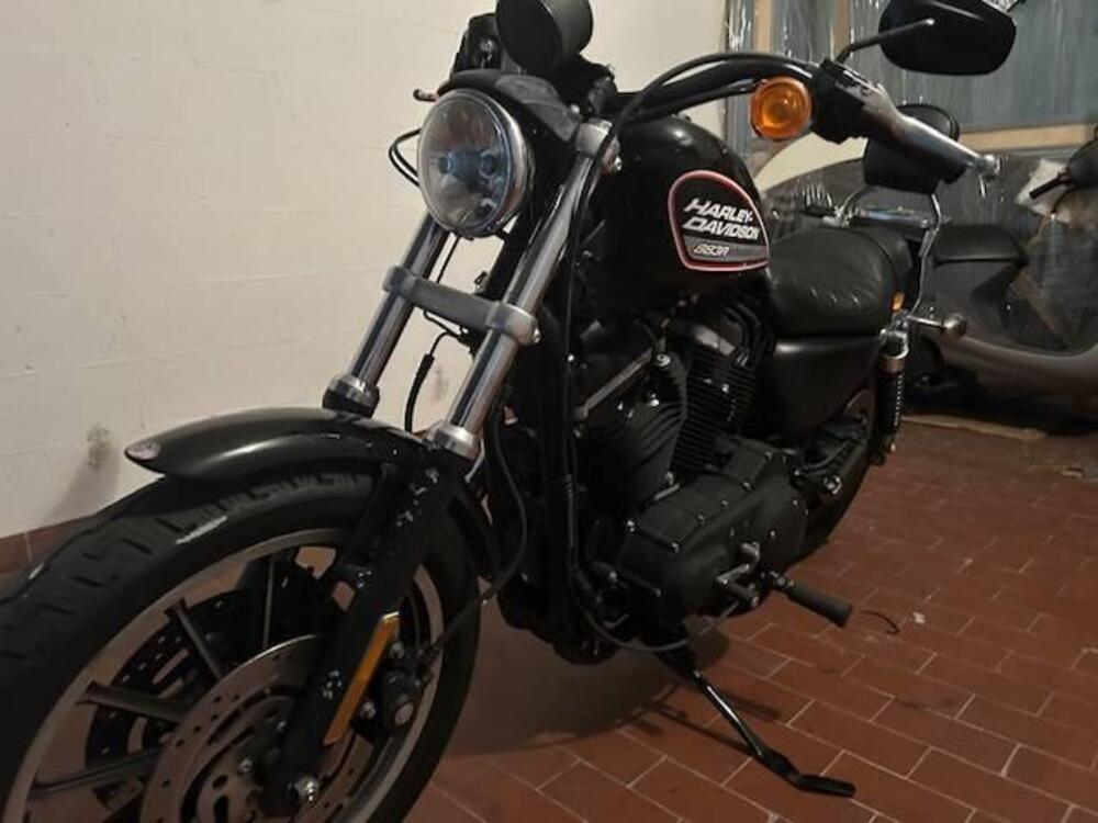 Harley-Davidson 883 R (2004 - 05) - XL 883R (3)