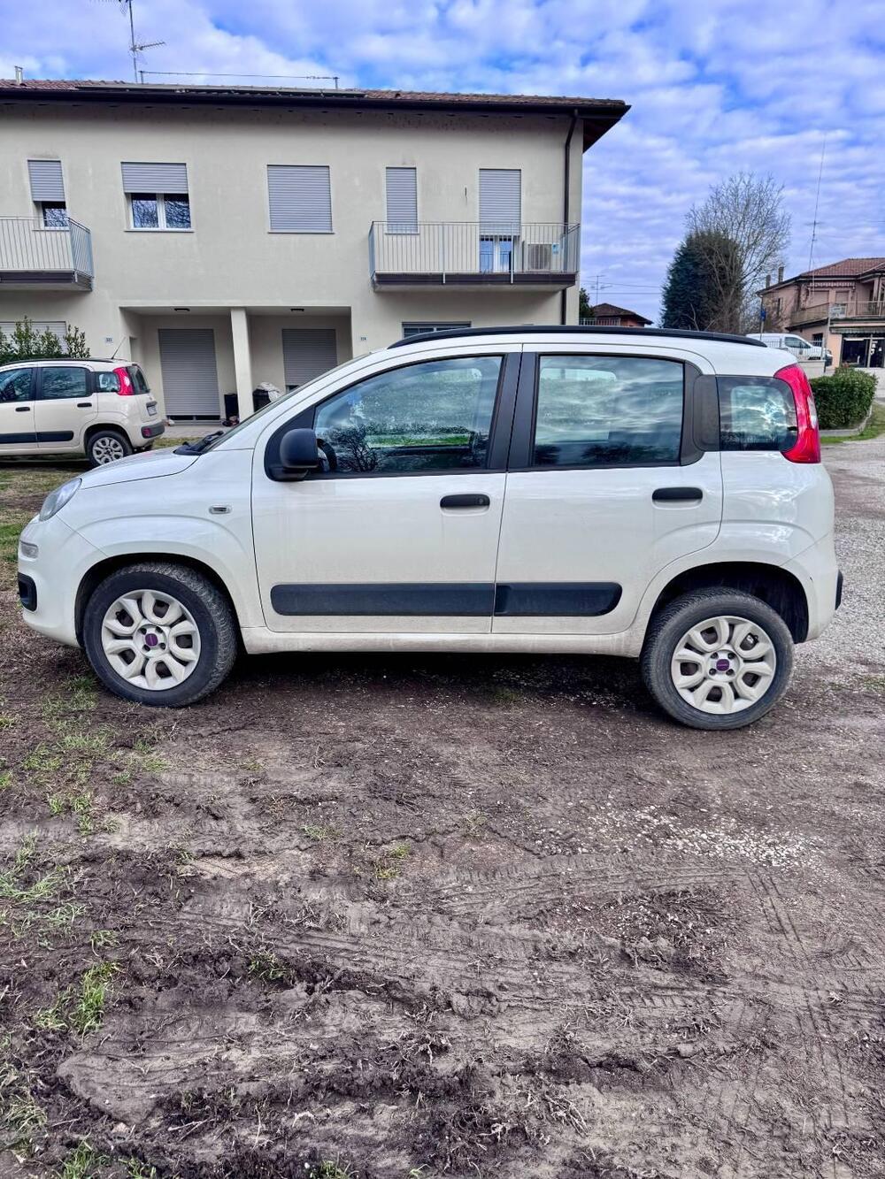 Fiat Panda usata a Bologna (7)