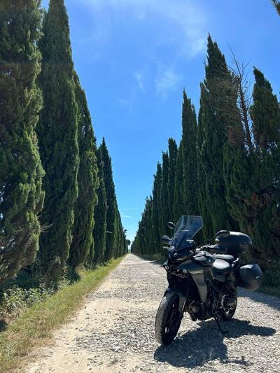 Yamaha Tracer 9 (2021 - 24) usata