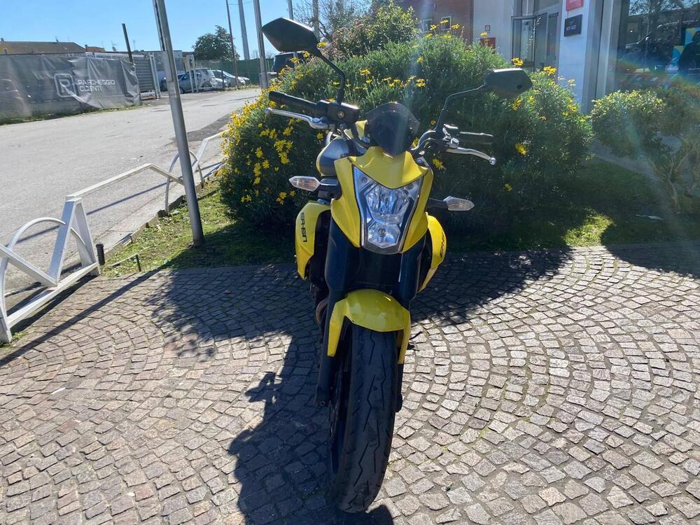 Kawasaki ER-6N (2012 - 13) (6)