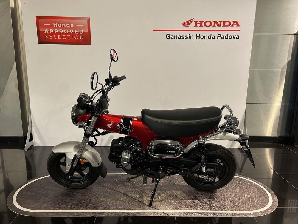 Honda Dax 125 (2023 - 24) (4)