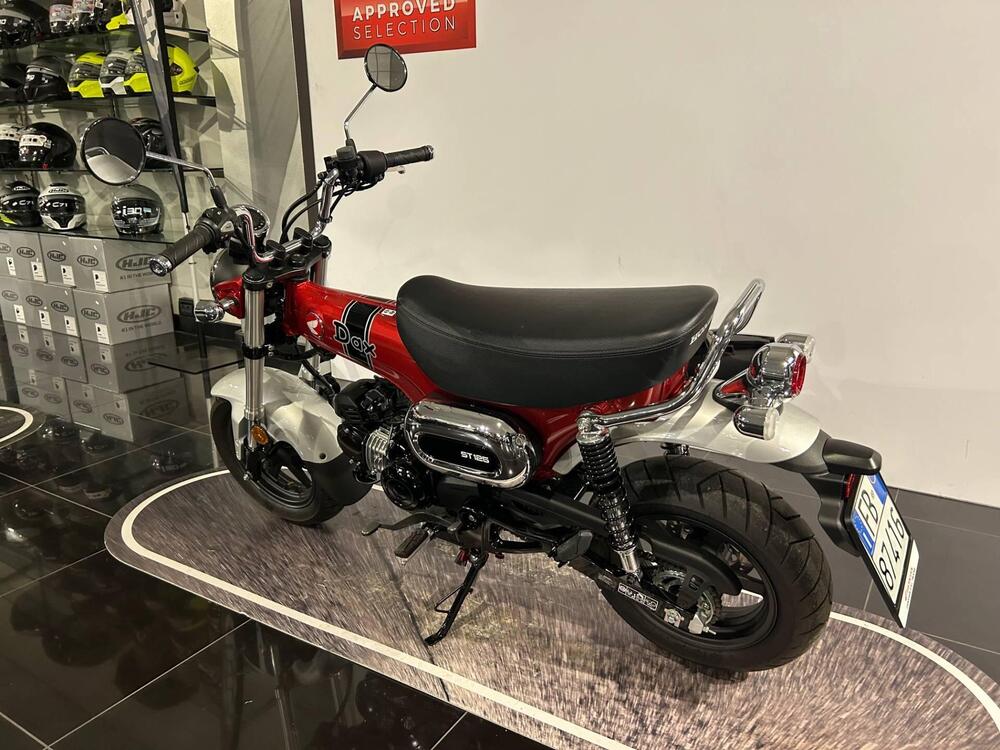 Honda Dax 125 (2023 - 24) (6)
