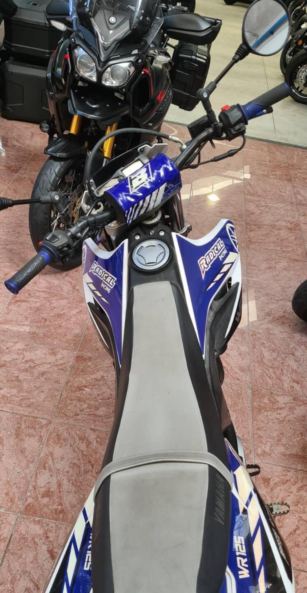 Yamaha WR 125 (2016 - 17) (3)