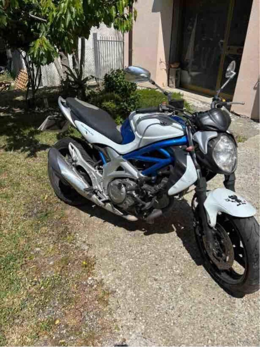 Suzuki Gladius 650 SFV (2009 - 15) (4)