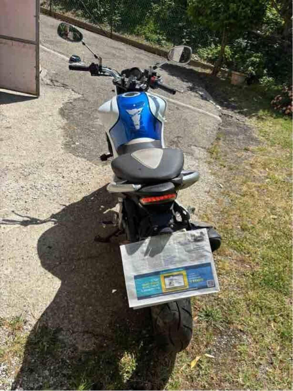 Suzuki Gladius 650 SFV (2009 - 15) (2)