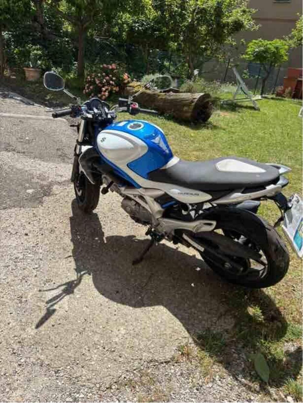 Suzuki Gladius 650 SFV (2009 - 15) (3)