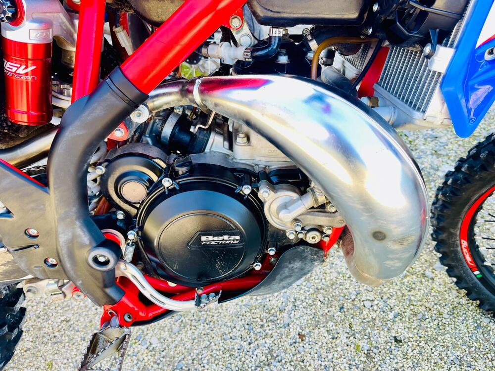 Betamotor Xtrainer 300 2t (2018 - 19) (2)