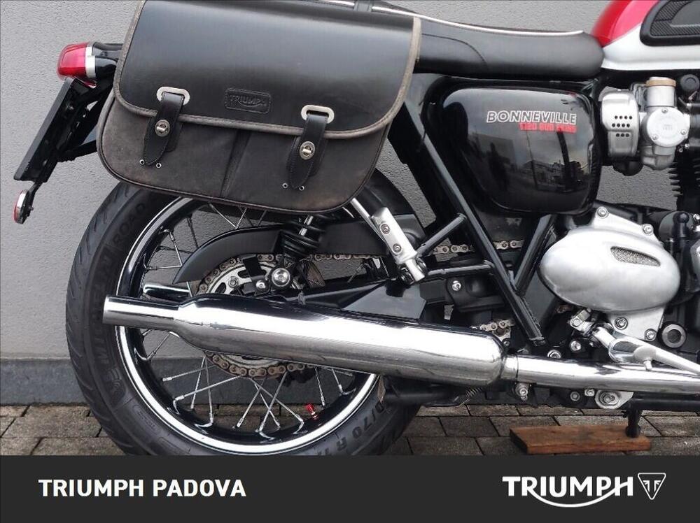 Triumph Bonneville T120 Bud Ekins SE (2020) (2)