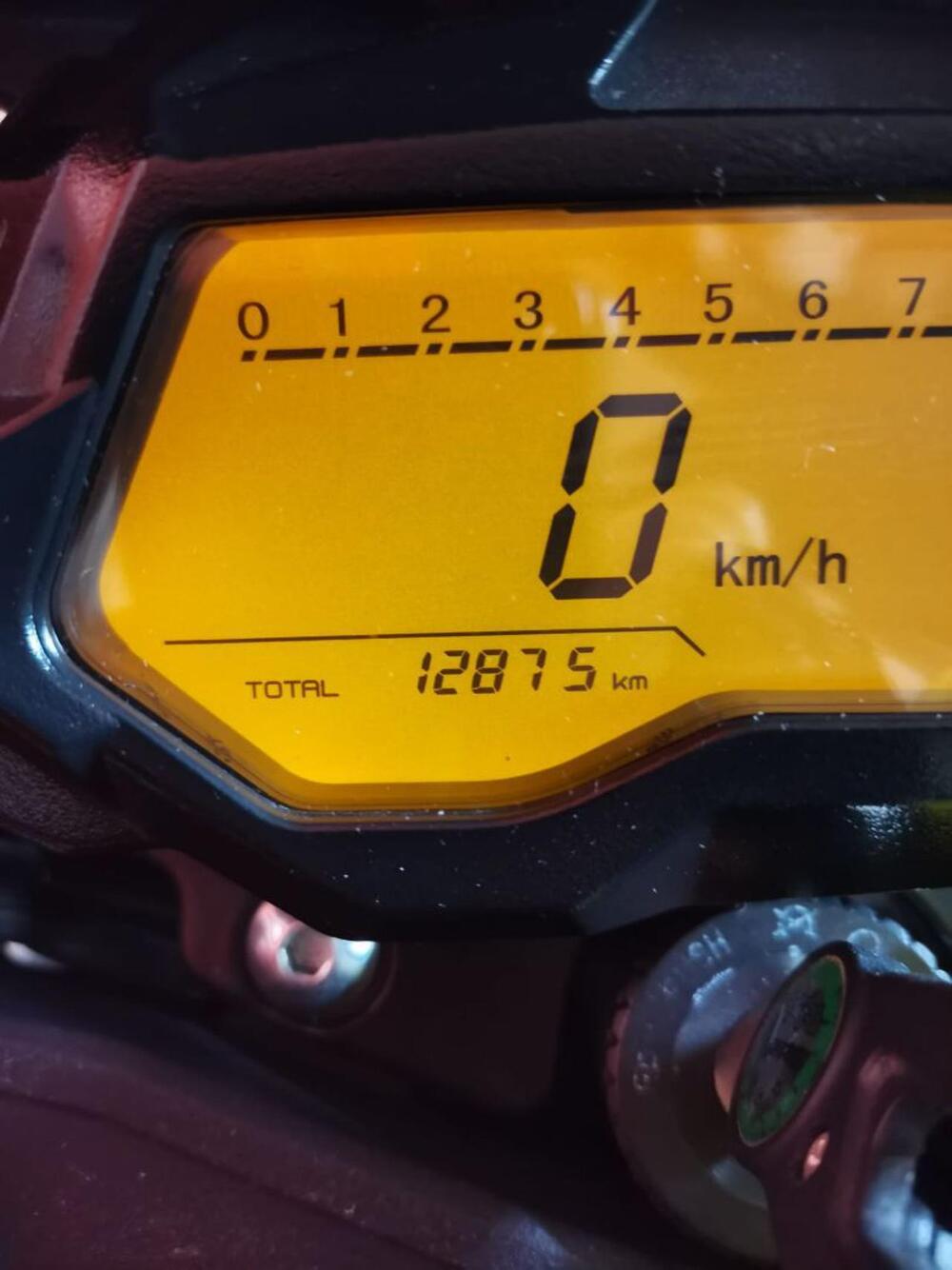 Benelli BN 125 (2021 - 25) (6)