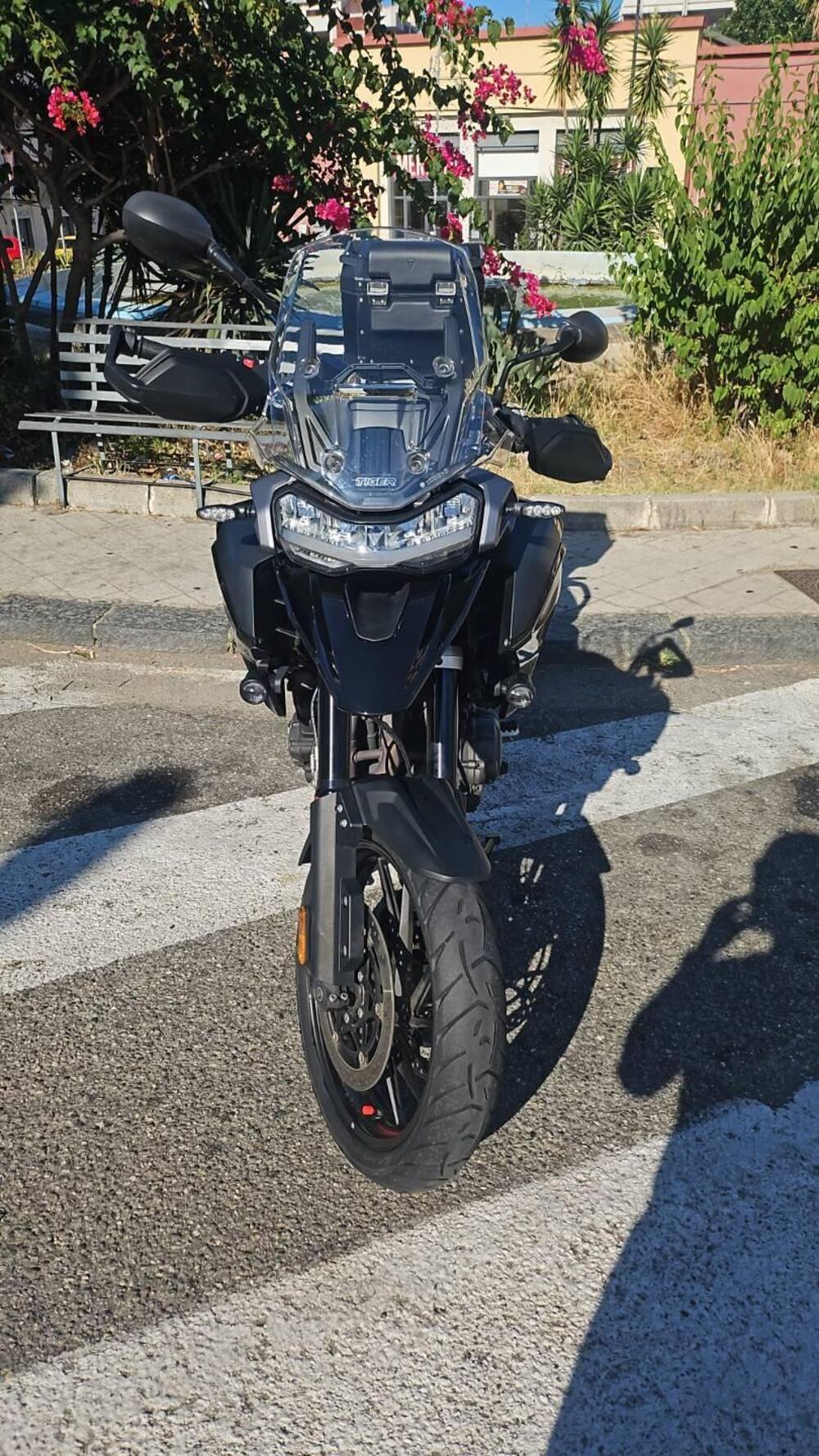 Triumph Tiger 1200 GT Explorer (2024 - 26) (3)