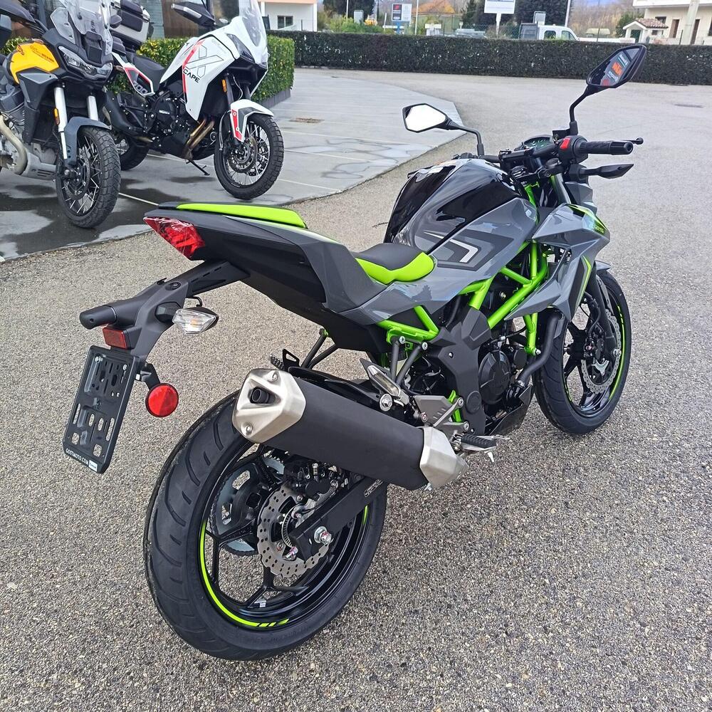 Kawasaki Z 125 (2025 - 26) (4)