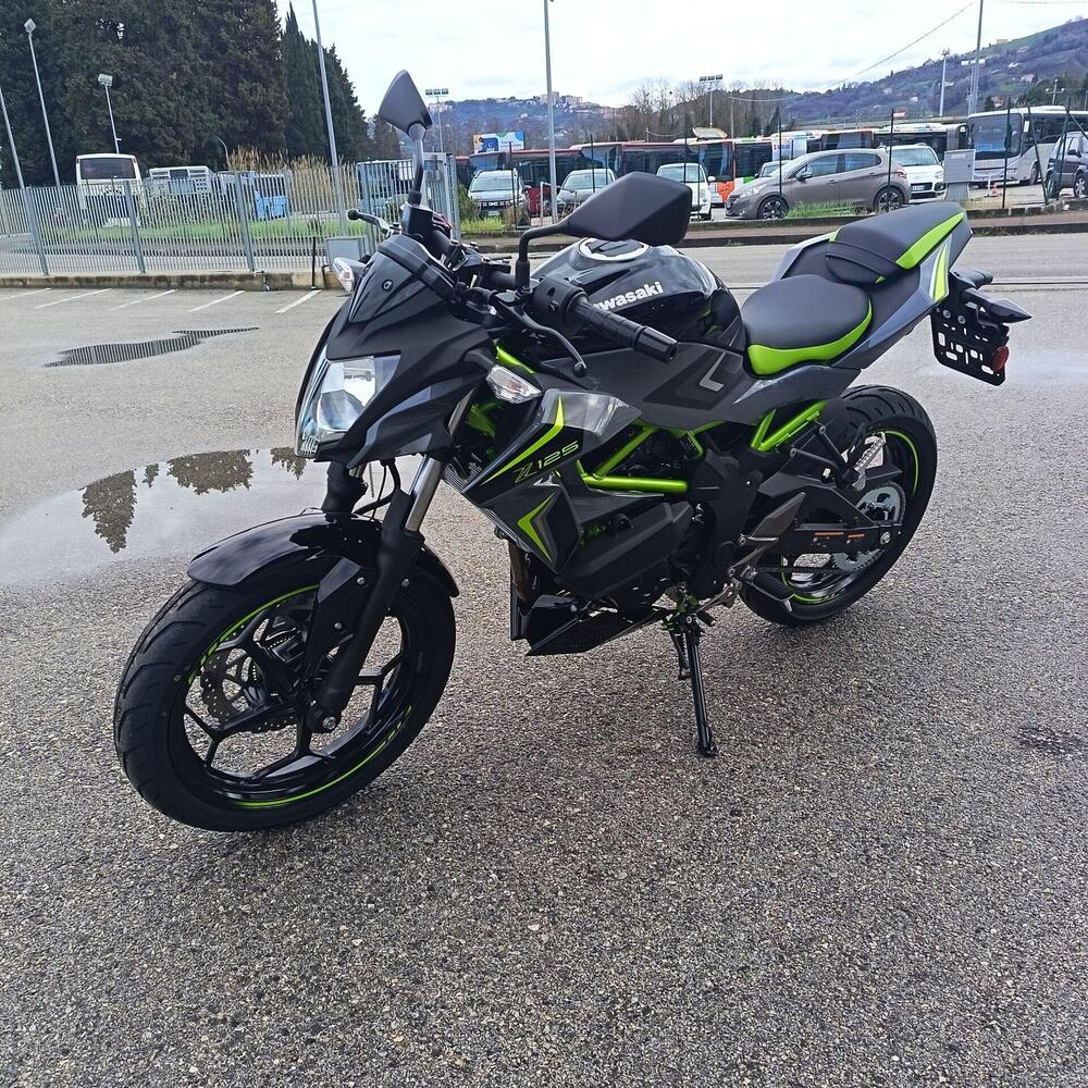 Kawasaki Z 125 (2025 - 26) (6)