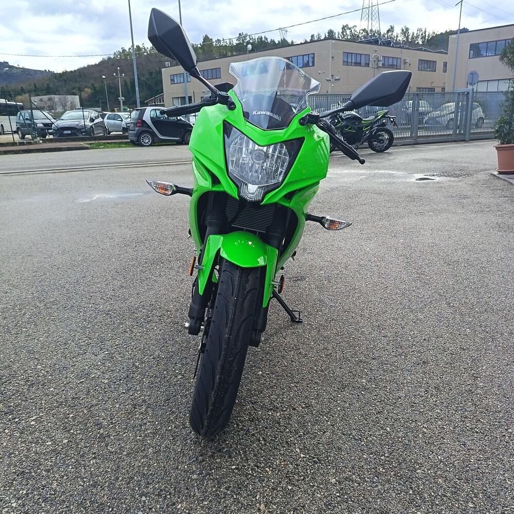 Kawasaki Ninja 125 (2025 - 26) (9)