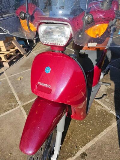 Piaggio Free 50 FD Businnes usata
