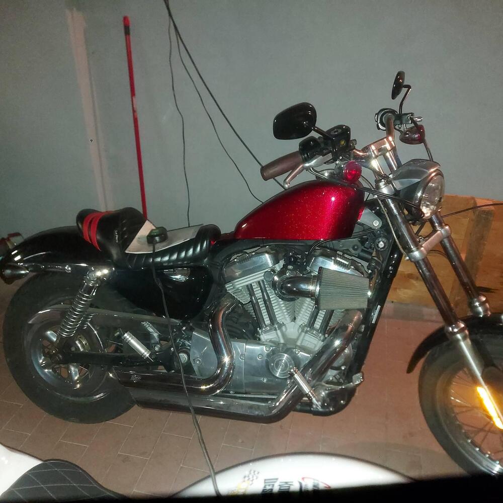 Harley-Davidson 883 Custom (2006 - 07) - XL 883C (6)