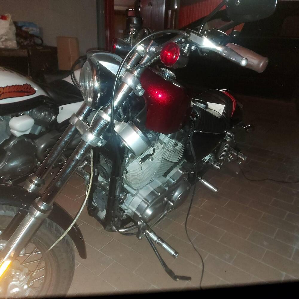 Harley-Davidson 883 Custom (2006 - 07) - XL 883C (7)