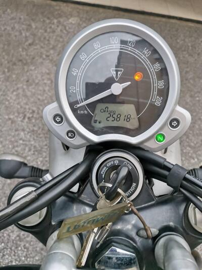 Triumph Street Twin 900 (2016) usata