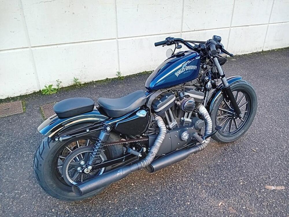 Harley-Davidson 883 Iron (2012 - 14) - XL 883N (4)