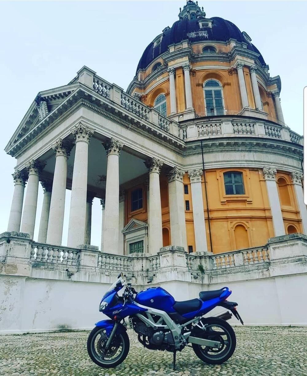 Suzuki SV 650 S (2003 - 06) (8)