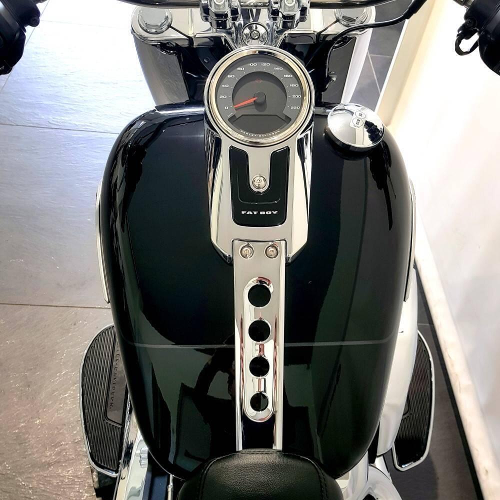 Harley-Davidson Fat Boy 117 (2025 - 26) (6)