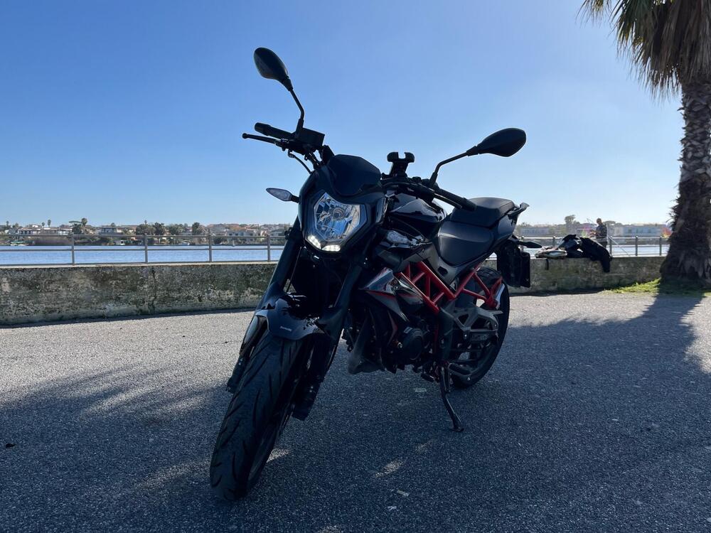 Benelli BN 125 (2021 - 25) (2)