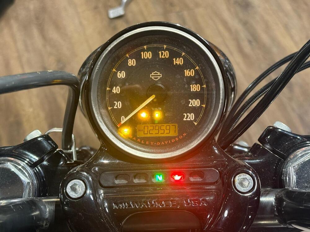 Harley-Davidson 1200 Forty-Eight (2016 - 20) (4)