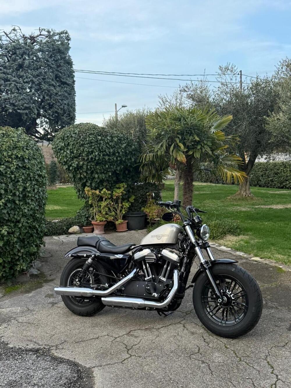 Harley-Davidson 1200 Forty-Eight (2016 - 20) (11)