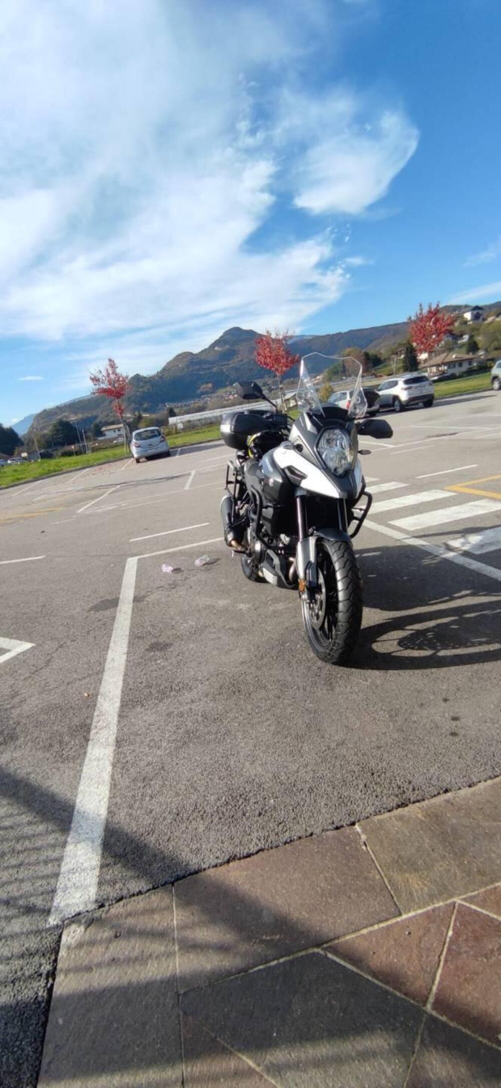 Suzuki V-Strom 1000 (2017 - 20) (14)