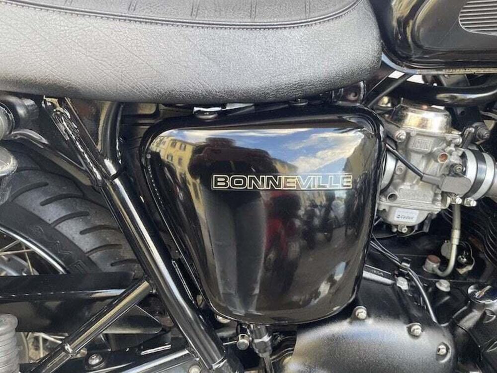 Triumph Bonneville 800 (2002 - 07) (7)