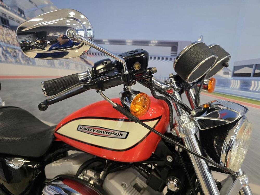 Harley-Davidson 1200 Roadster (2002 - 05) - XL 1200R (16)