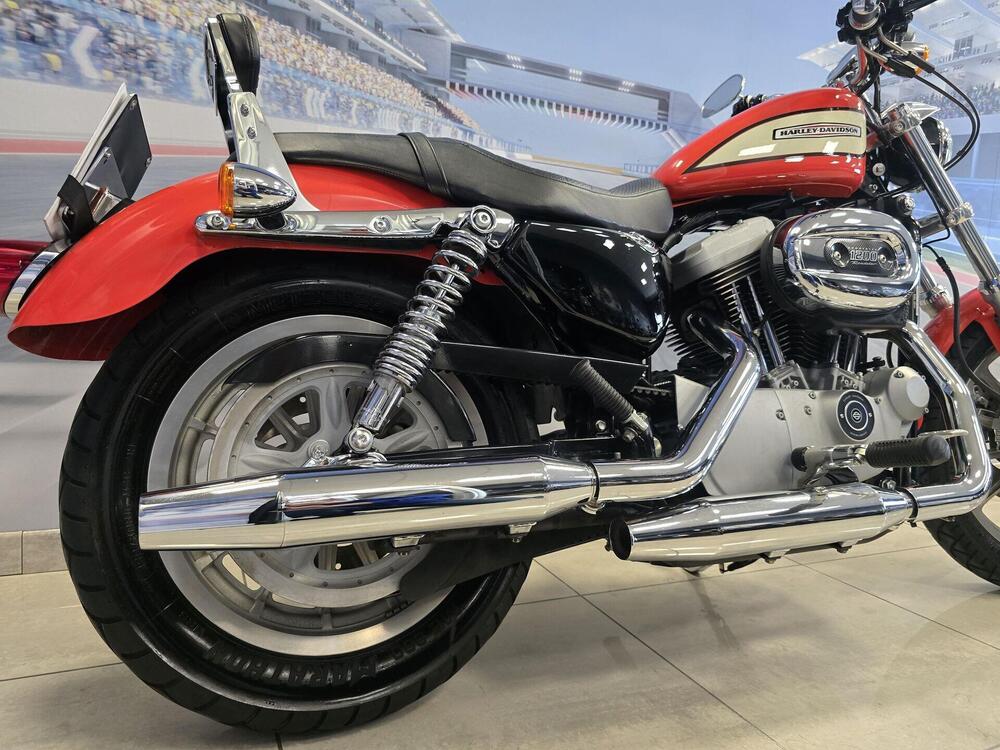 Harley-Davidson 1200 Roadster (2002 - 05) - XL 1200R (19)