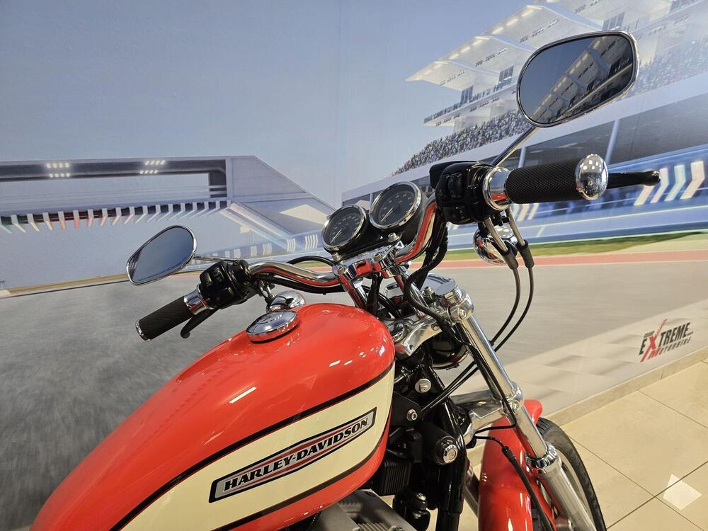 Harley-Davidson 1200 Roadster (2002 - 05) - XL 1200R (20)