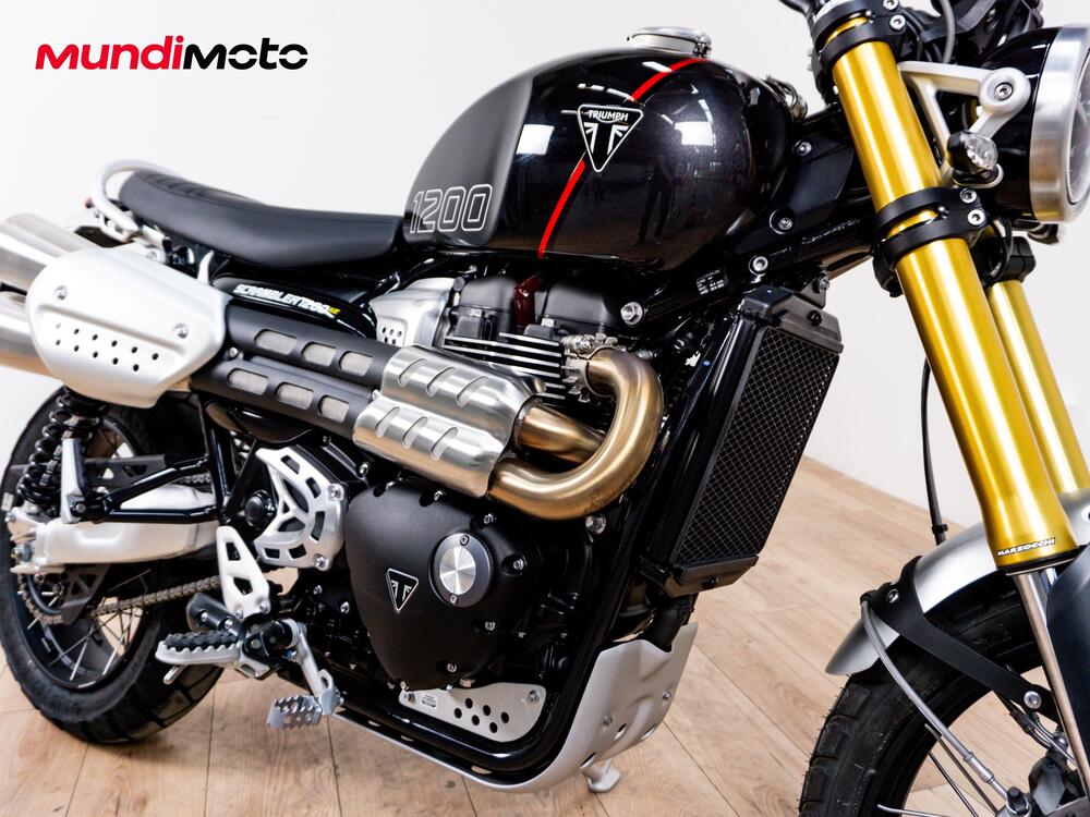 Triumph Scrambler 1200 XE (2026) (4)