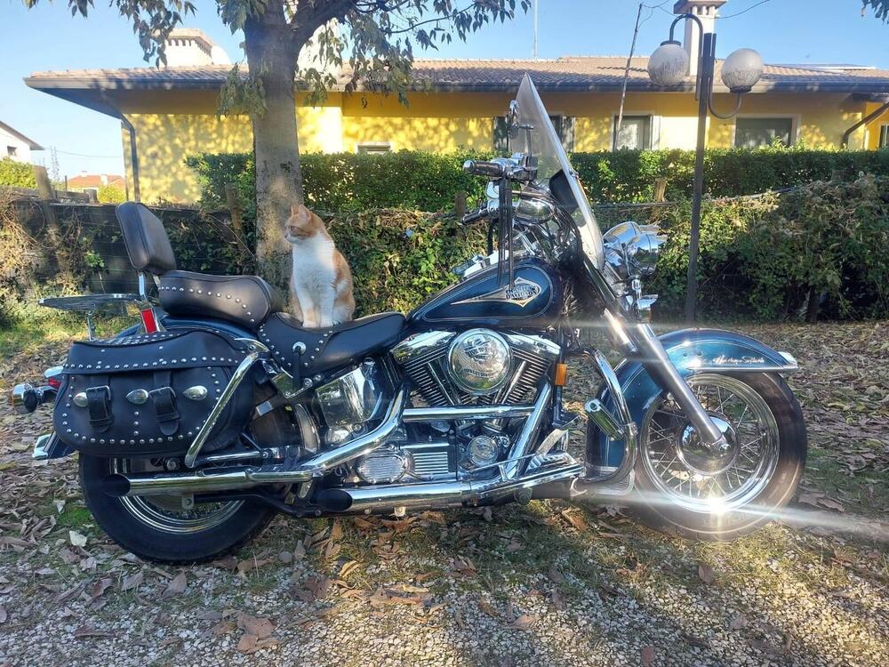 Harley-Davidson 1340 Heritage Classic (1984 - 98) - FLSTC (2)