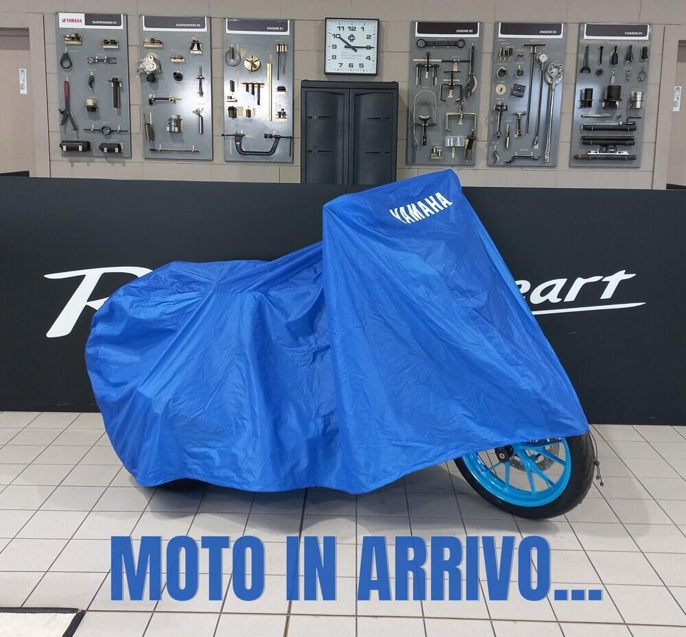 Yamaha Ténéré 700 World Raid (2022 - 25)