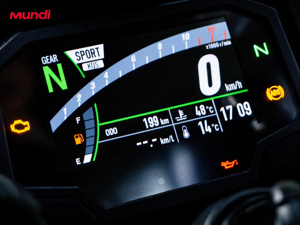 Kawasaki Ninja 1000 SX (2020) (12)