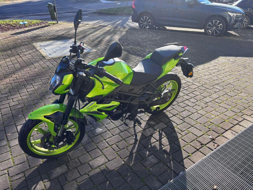 Benelli BN 125 (2021 - 25) (2)