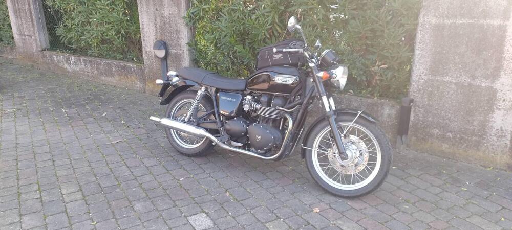 Triumph Bonneville 800 (2002 - 07) (2)
