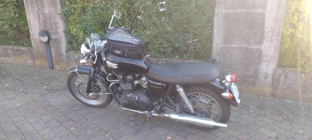 Triumph Bonneville 800 (2002 - 07) (3)