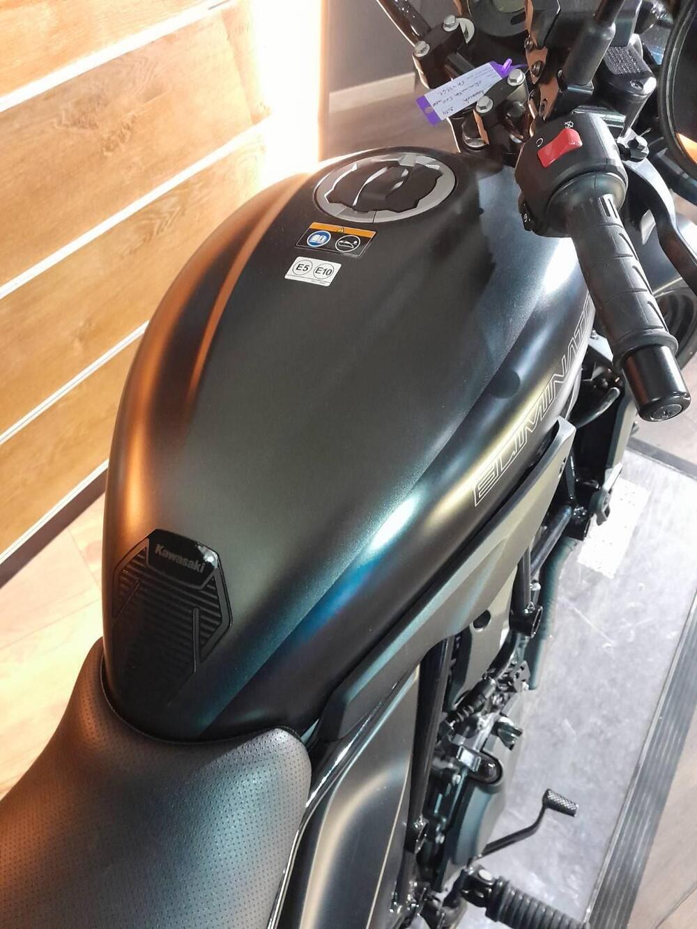 Kawasaki Eliminator 500 SE (2024 - 26) (5)