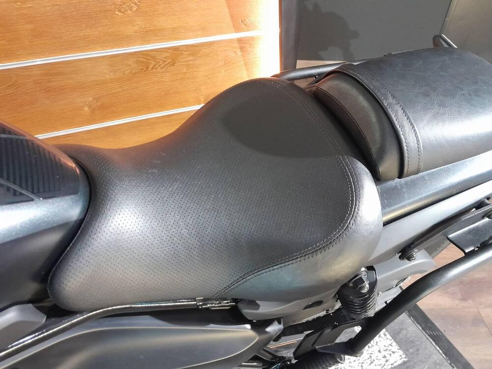 Kawasaki Eliminator 500 SE (2024 - 26) (13)