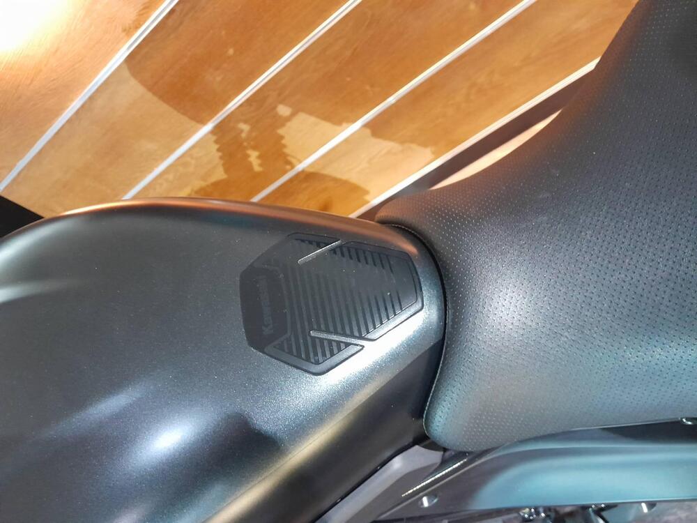 Kawasaki Eliminator 500 SE (2024 - 26) (14)