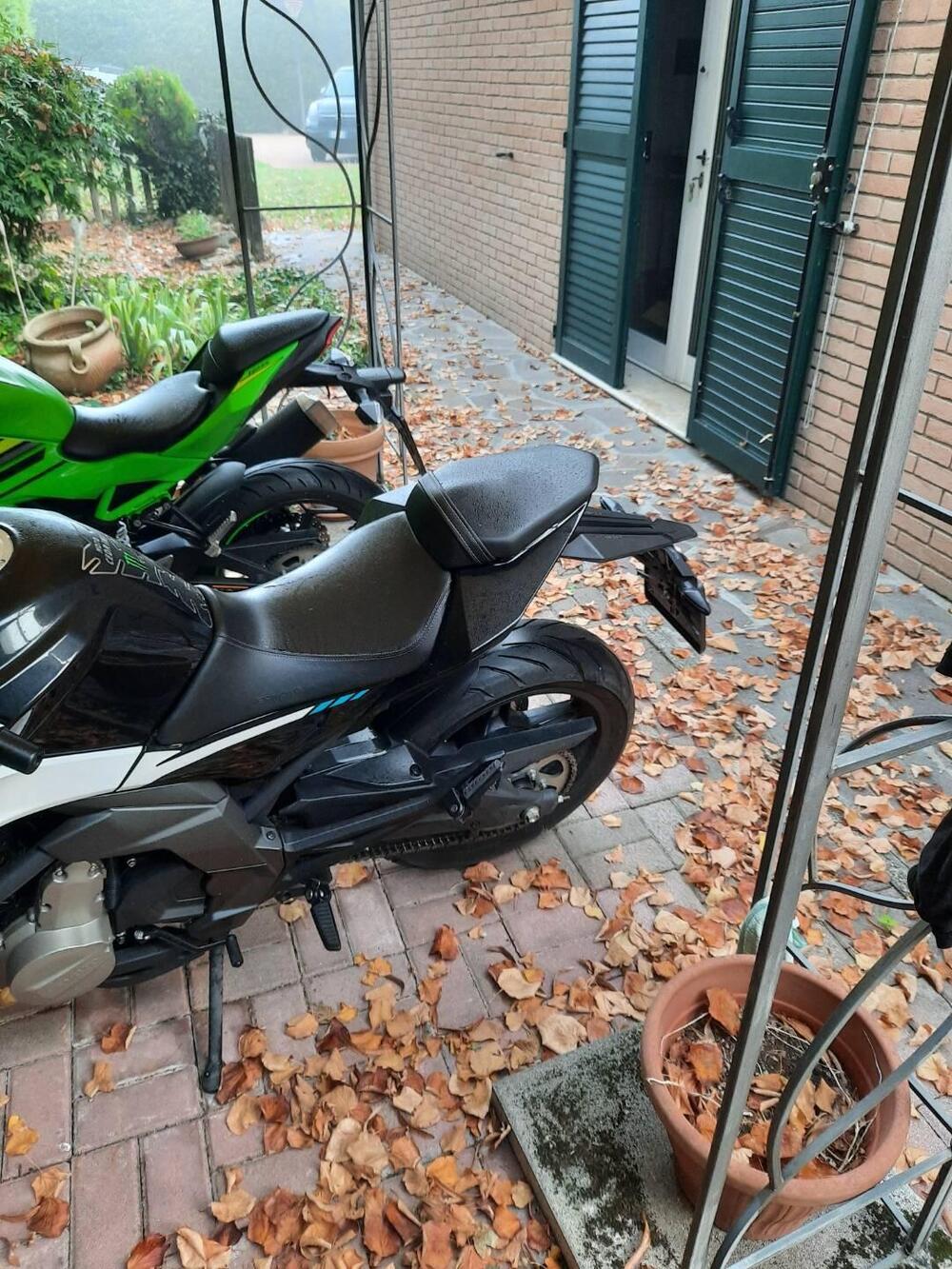 CFMOTO 650NK (2021 - 24) (2)