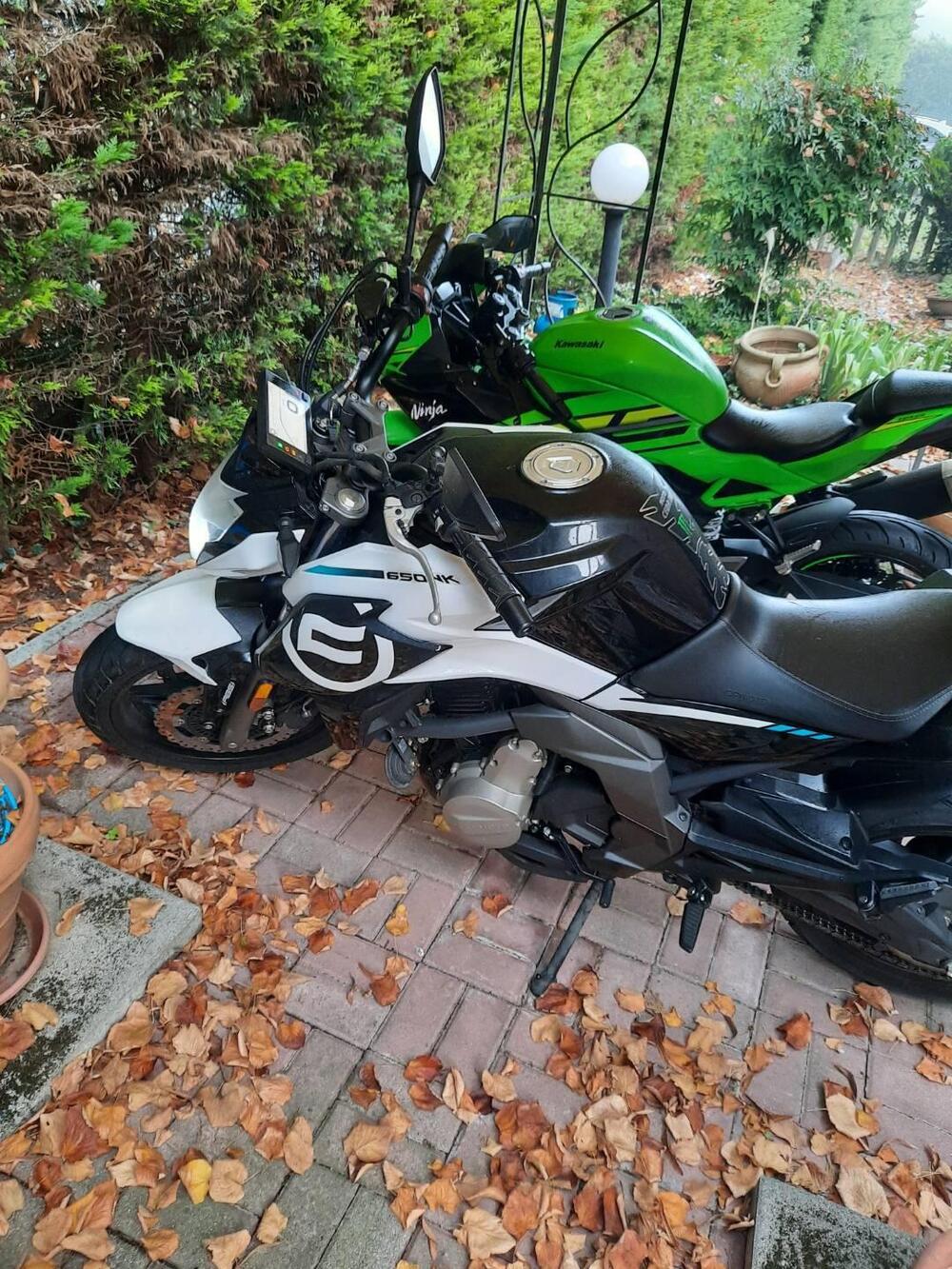 CFMOTO 650NK (2021 - 24) (3)